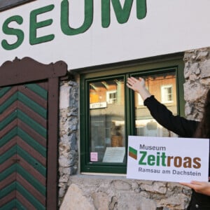 Zeitroas